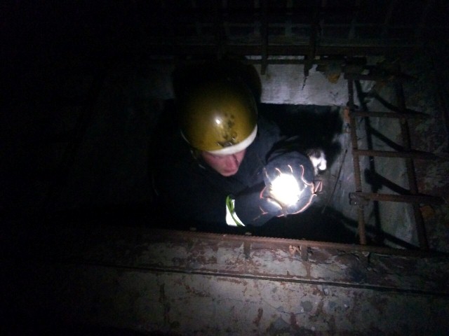 67620751_1590340284433713_8119523617391247360_o