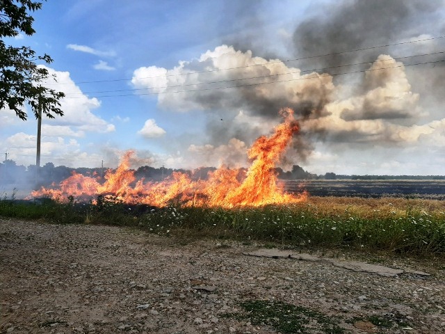 67241330_2359497154086912_2455681511794409472_o