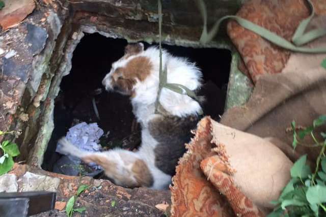 67403117_2356016517768309_3998159758489026560_n