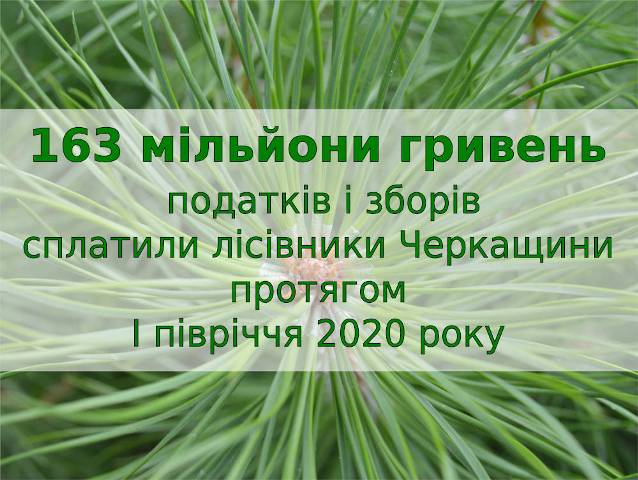 сплатили-податки