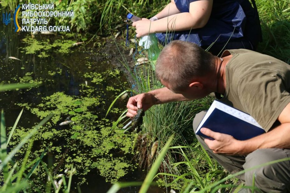 224230179_4208797022530124_8568973674248034452_n-1024x683