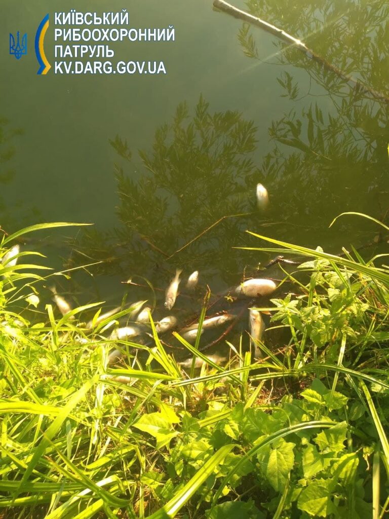 223404592_4208796719196821_9011188023954018389_n-768x1024