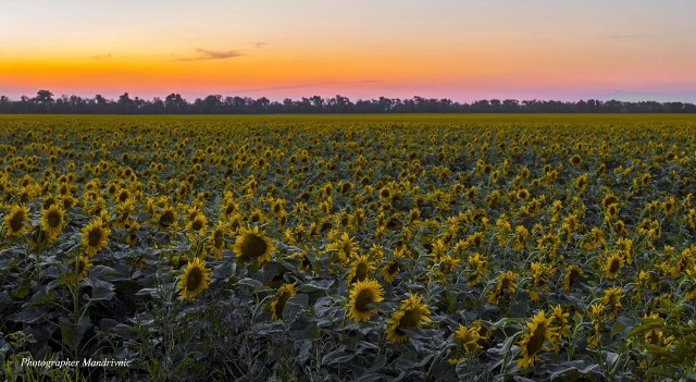 110946886_1585517431617269_7284730896256345868_n