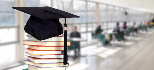 e9a685482cf16ff20f977013163c19bd