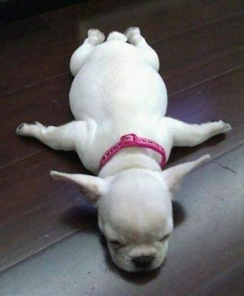 17974166-7419437-image-a-7_1567431079440