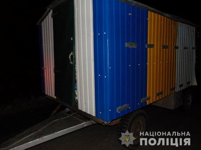 214011274_1153048551847343_8942267656980230160_n