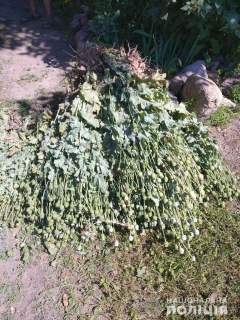 215332600_1157679091384289_298018513277955848_n