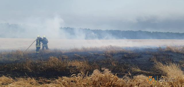 217447954_4201850139851595_2813172616172788911_n