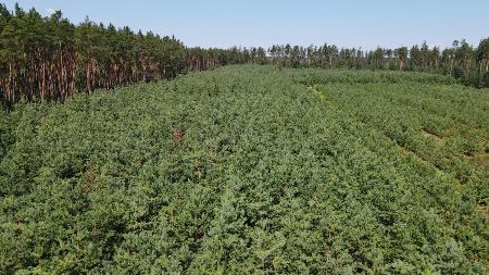 227491543_4333088616729601_1432898170854564827_n