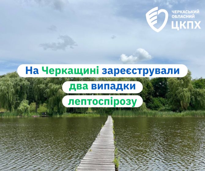 vypadky-leptospirozu