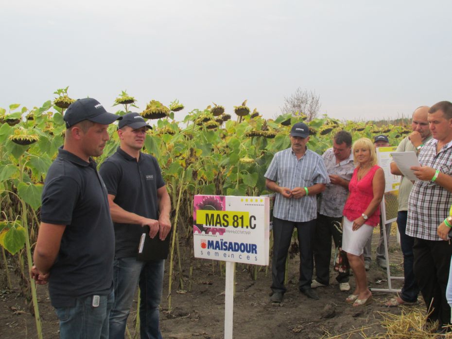 125-976e6767a012860975e95d93a18c41d1