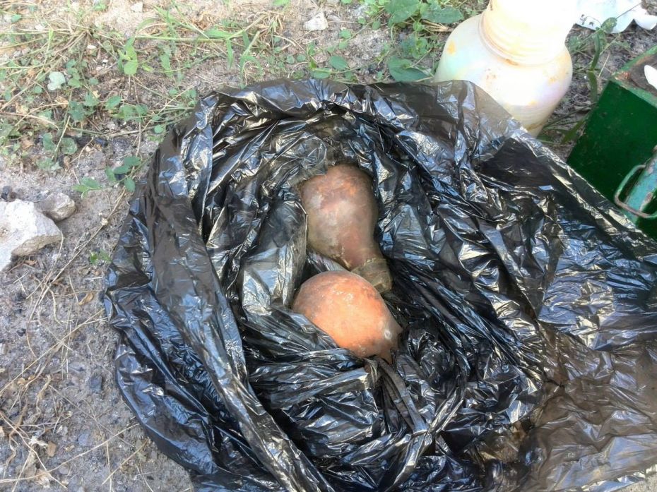 14195206_729459440525609_473681862070067311_o