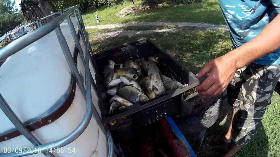 14257756_1647861895543850_3503973121108326836_o