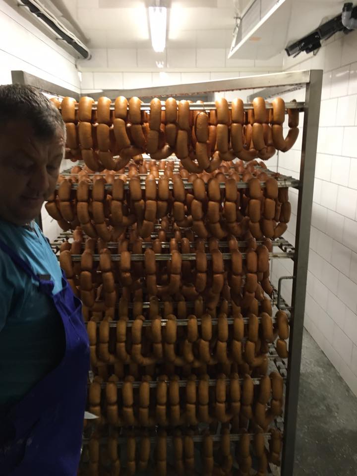 14102419_540920242772144_7354266551854921362_n