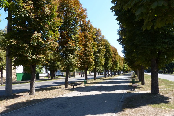 Фото provce.ck.ua