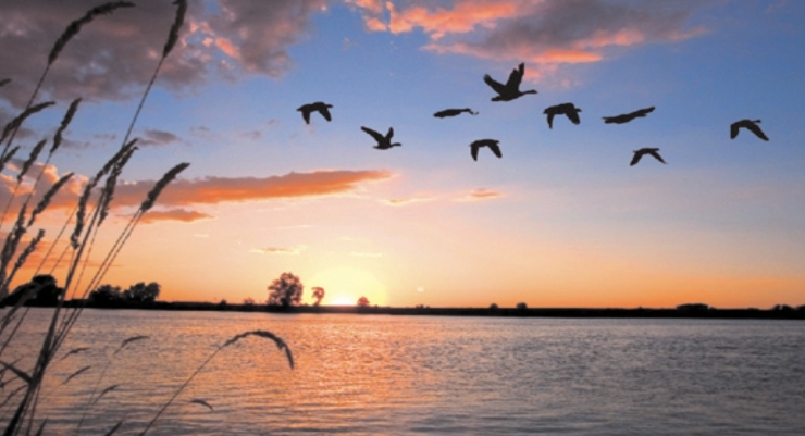 1438846123_polyuvannya