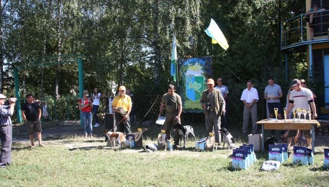 14138694_1236997039708921_6510212583724821832_o