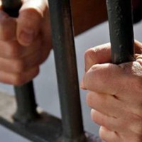 graty-2014-856_340-200x200