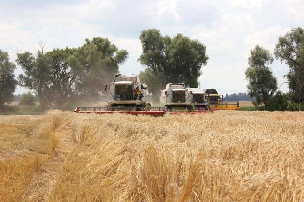 13925190_1573744222920201_6245455934984018686_n