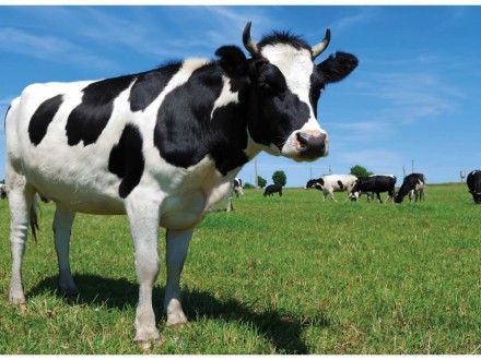 1f7e6b4e52ff30bc33fcdac200f9ea0bc2e3c006