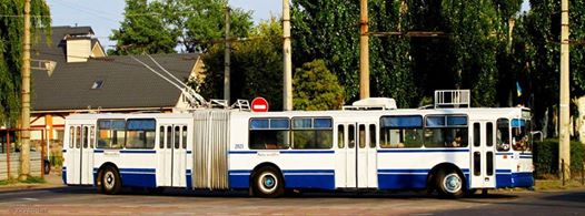 14040017_1004708039598519_7182328489865525469_n