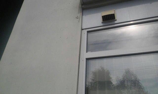 14037646_927113780743875_875949495_o