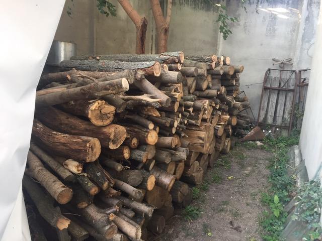 20953430_336563866757076_5447373545642494450_n