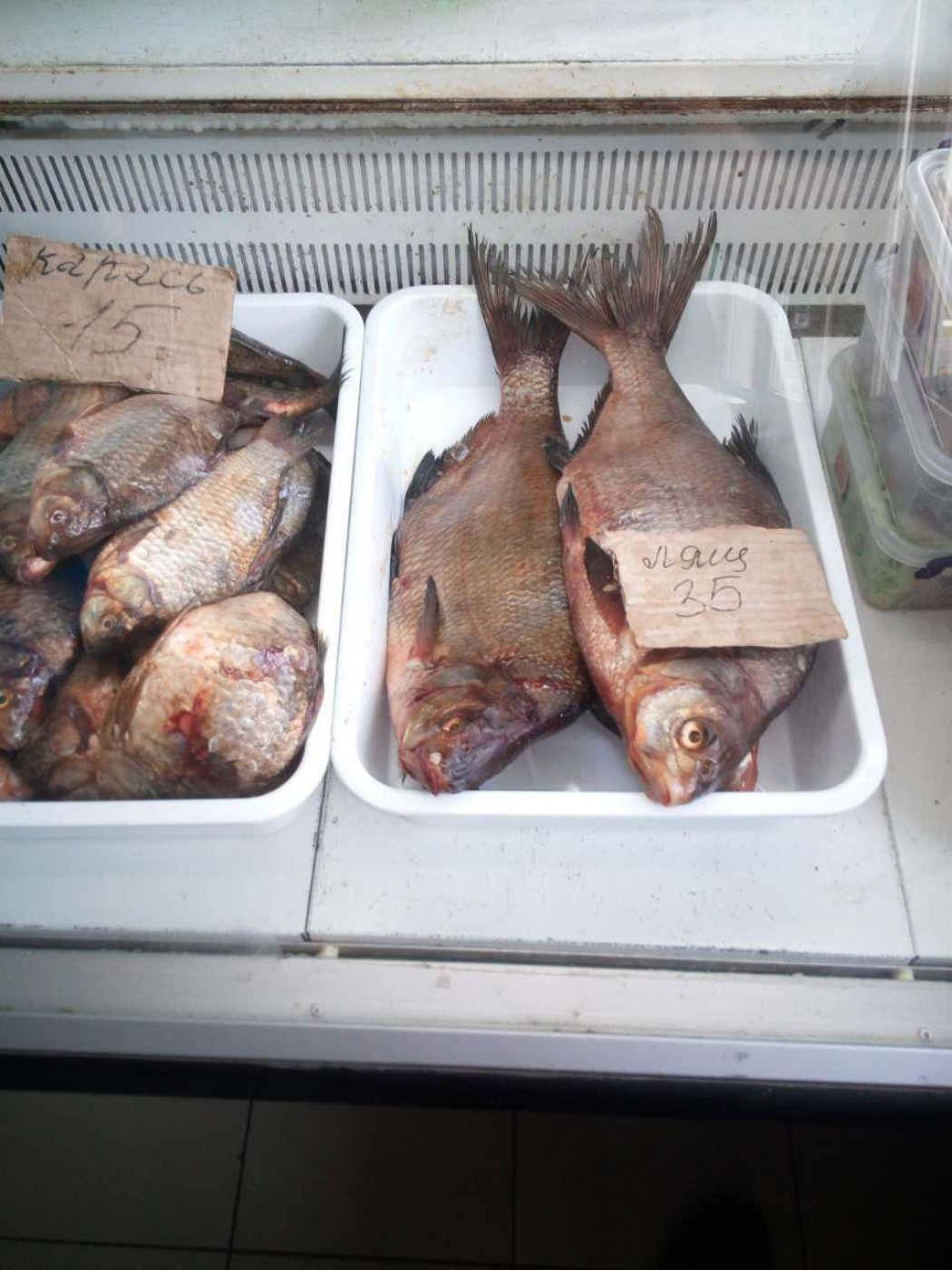 photo_2018-08-22_12-00-57