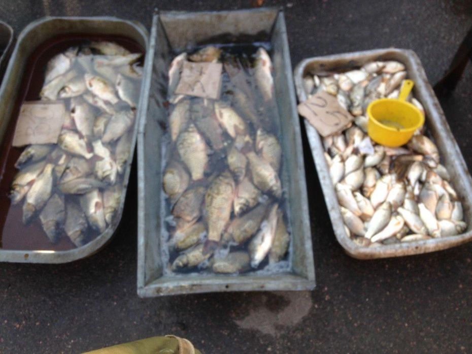 photo_2018-08-22_12-01-01