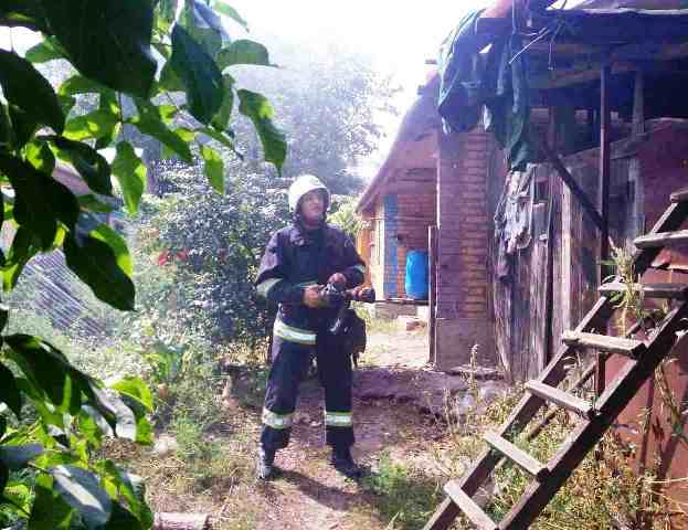 IMG-3b0a4e58ad64d86d28d7d4d8cc5968d1-V