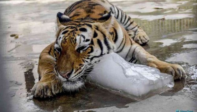 630_360_1525185303-7282