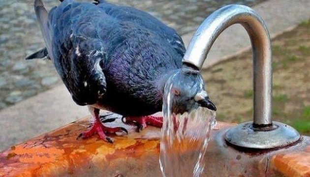 1533496453_7031d8e-630-360-1525184918-9605