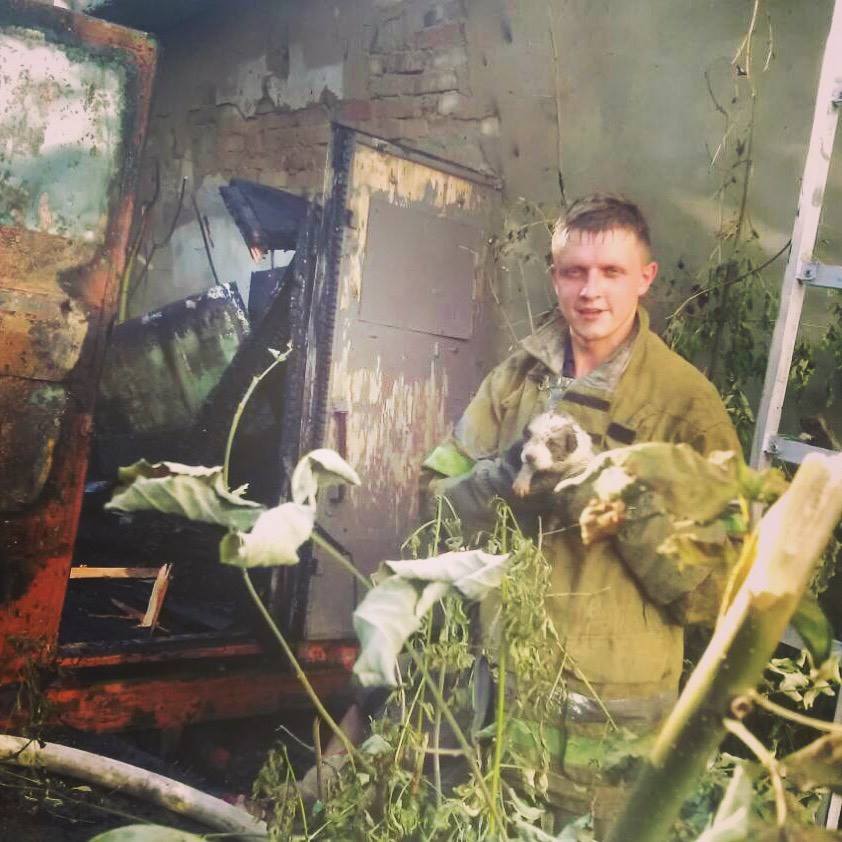 40284584_1161084687363080_1906685808333553664_n