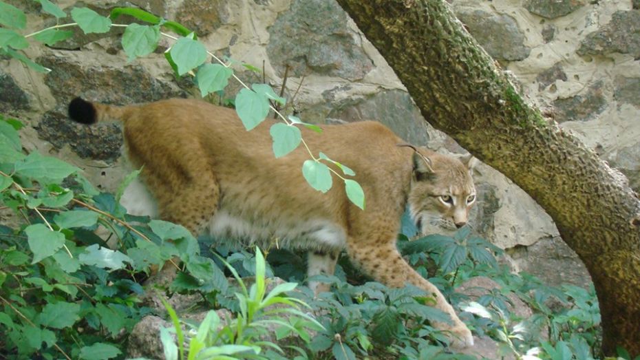 68985566_639659149859353_8709272556126863360_n