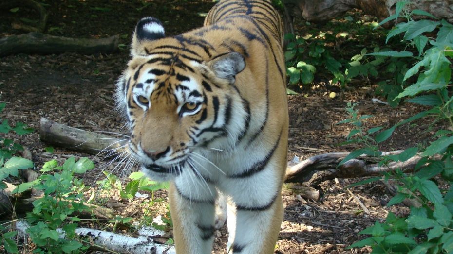 67660792_639659203192681_5471483469735395328_o