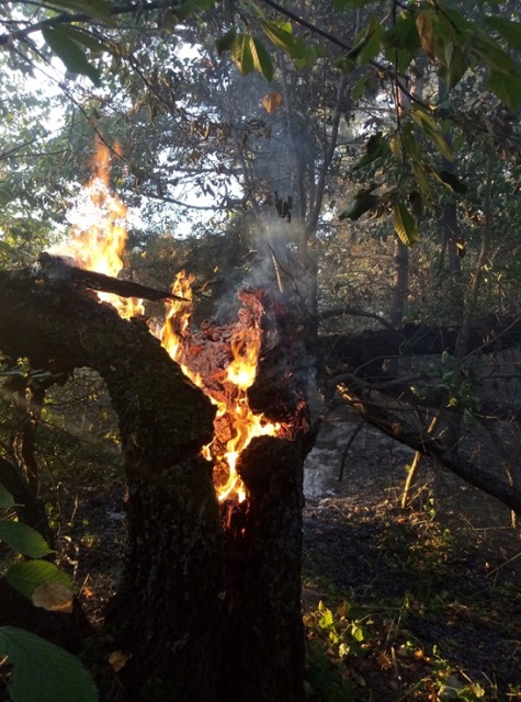 69182622_2612348485483276_1193210393787367424_n