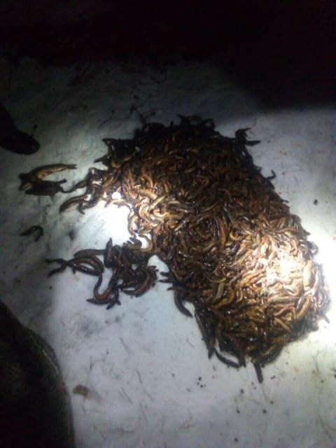 photo_2019-01-19_15-50-58