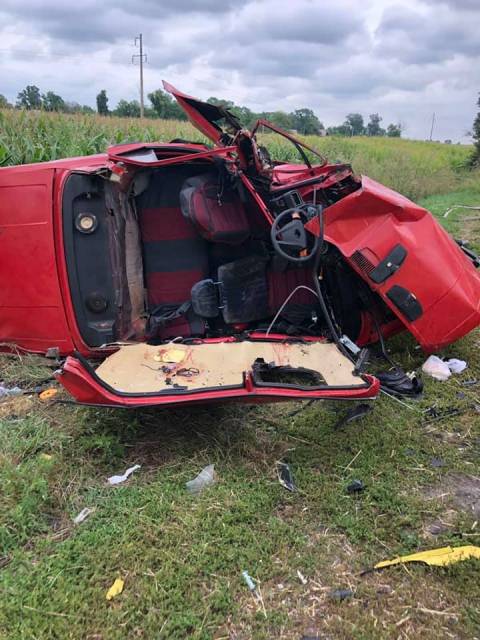 64312128_881187655584414_806262943116165120_n