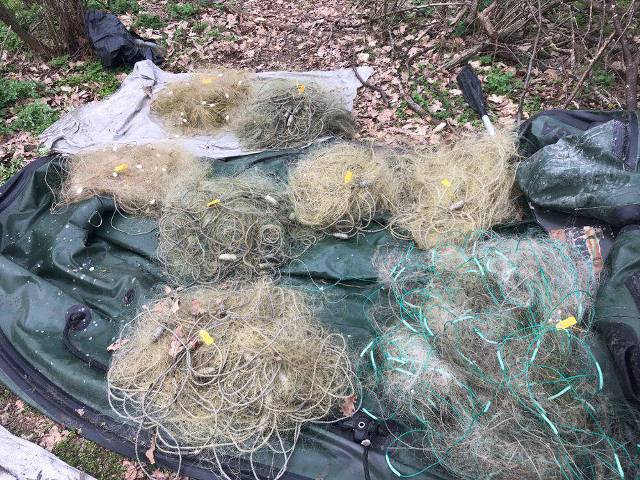 58949929_376903526246984_2371974239872876544_o