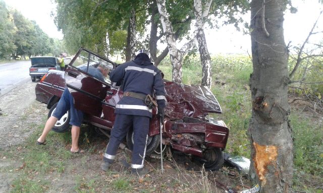 IMG-8496b6a5d5aadb50fc2c3dc5d45f1100-V