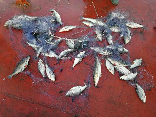 photo_2019-04-10_15-32-00