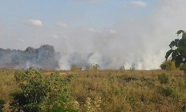 IMG-46843eb4dda0379886db8e8c526a586b-V