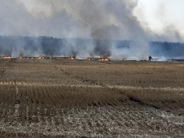 IMG-d3f2c1fc937d7c5cd2092bfd6c87780a-V