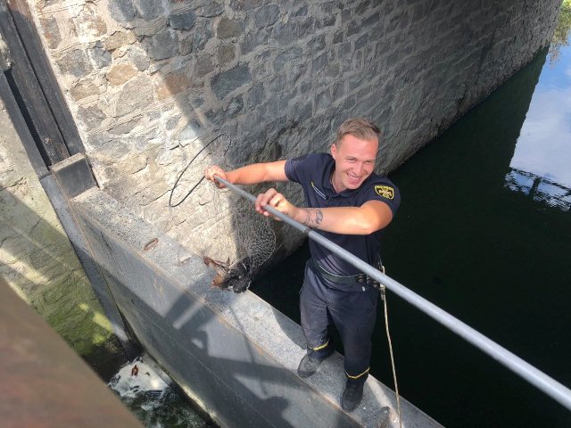 67678448_2643208472358007_3759137411058106368_o