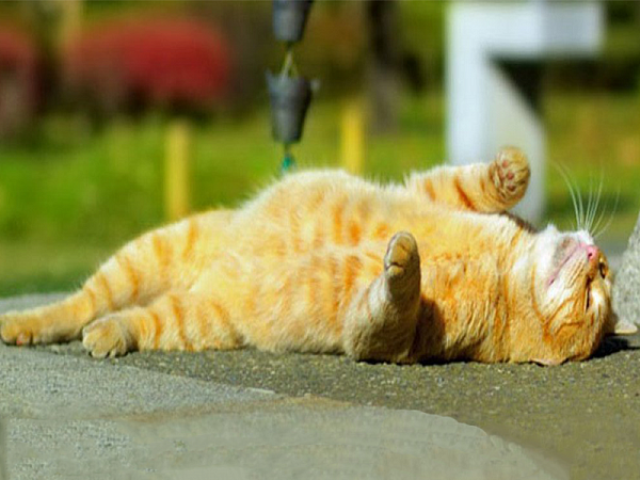 dfbbfca5775097b7ad7430a76a9a47f8