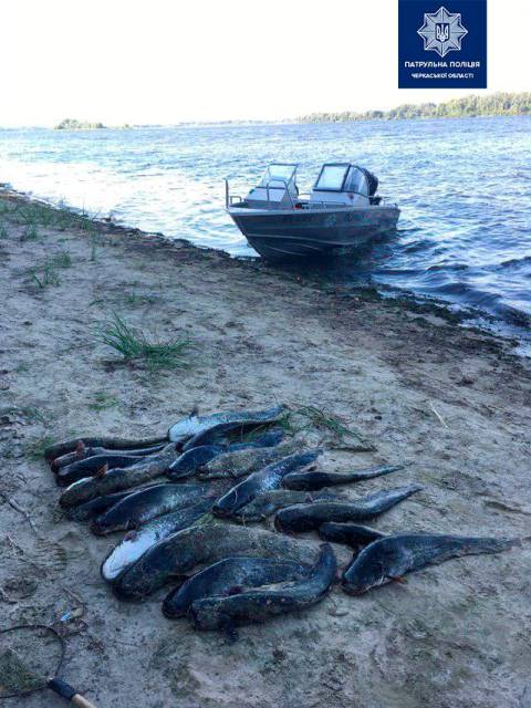 68852621_2352658724812190_941637829794988032_n