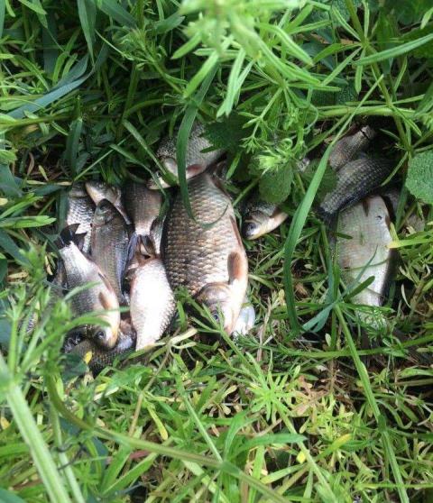 photo_2019-05-06_21-13-48