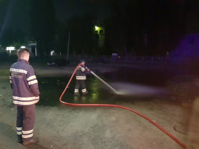 68550565_2399120740124553_1545146254609088512_o