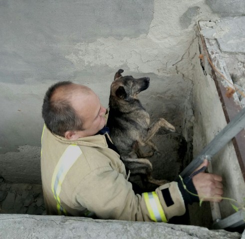 IMG-c3c8d1baa8f6da09e5902775e1e2dbf1-V