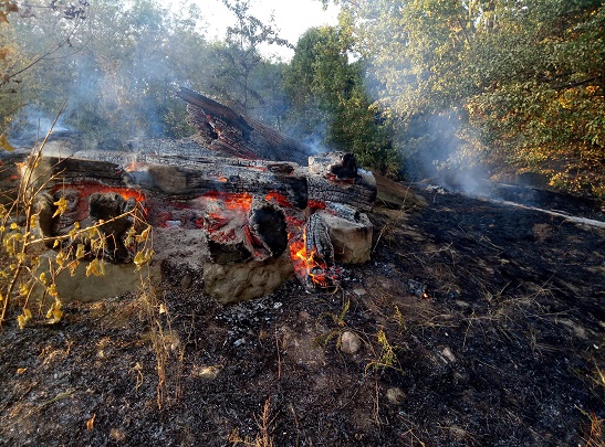 69507106_2612378902146901_862062827513315328_o